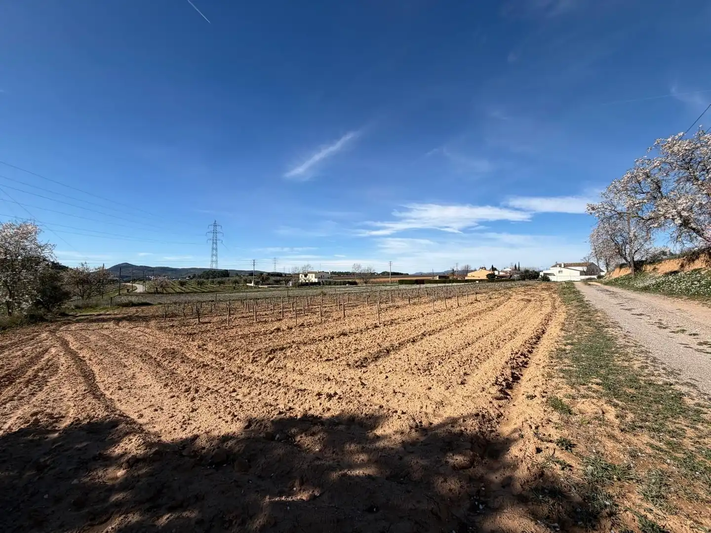 Finca rústica en venda en Olèrdola amb Jardí privat i Traster
