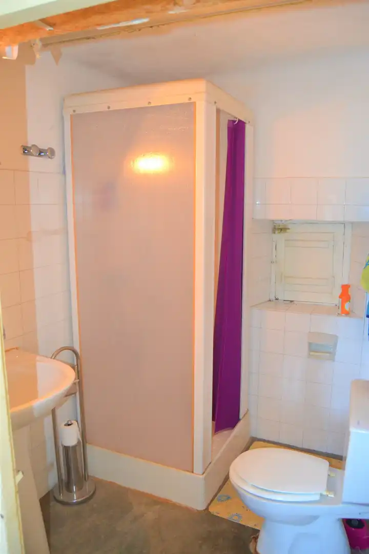 Bathroom of Country homes for sale in Sabiñánigo  with Private garden