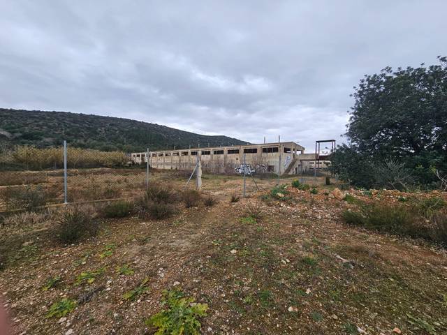 Local comercial en Venta en Freginals