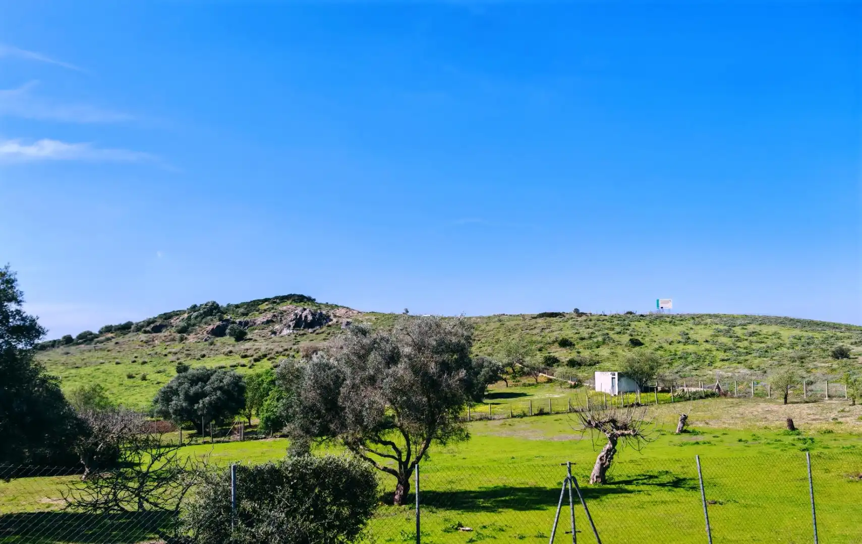 Casa o chalet en venta en Medina Sidonia con Jardín privado, Piscina y Amueblado