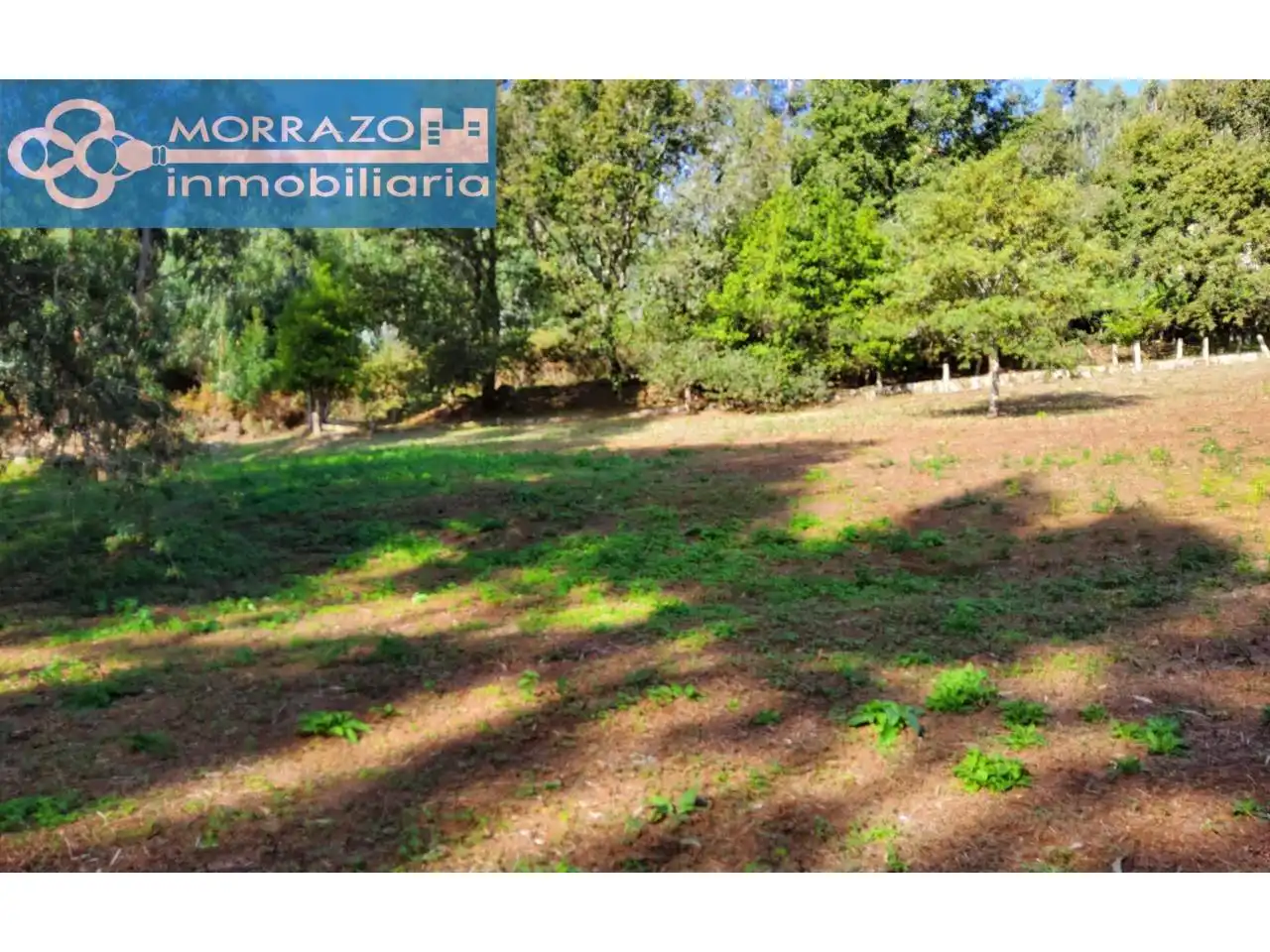 Terreno rustico in vendita a Bueu, imagen 32