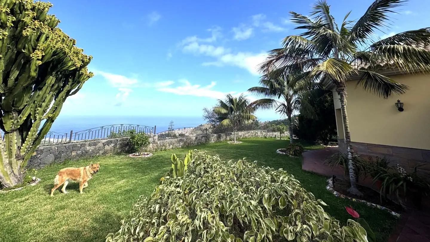 Casa con jardín en venta en La Guancha, imagen 88