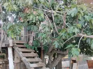 Casa amb piscina en venda a Rusia, imagen 74