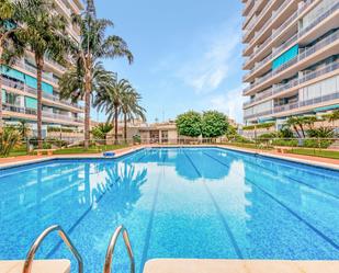 Swimming pool of Apartment to rent in Gandia  with Air Conditioner and Terrace