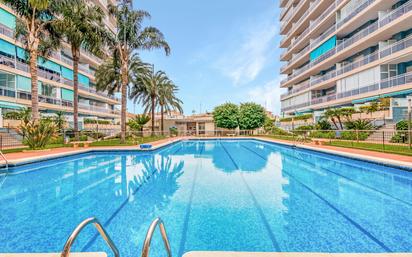 Swimming pool of Apartment to rent in Gandia  with Air Conditioner and Terrace