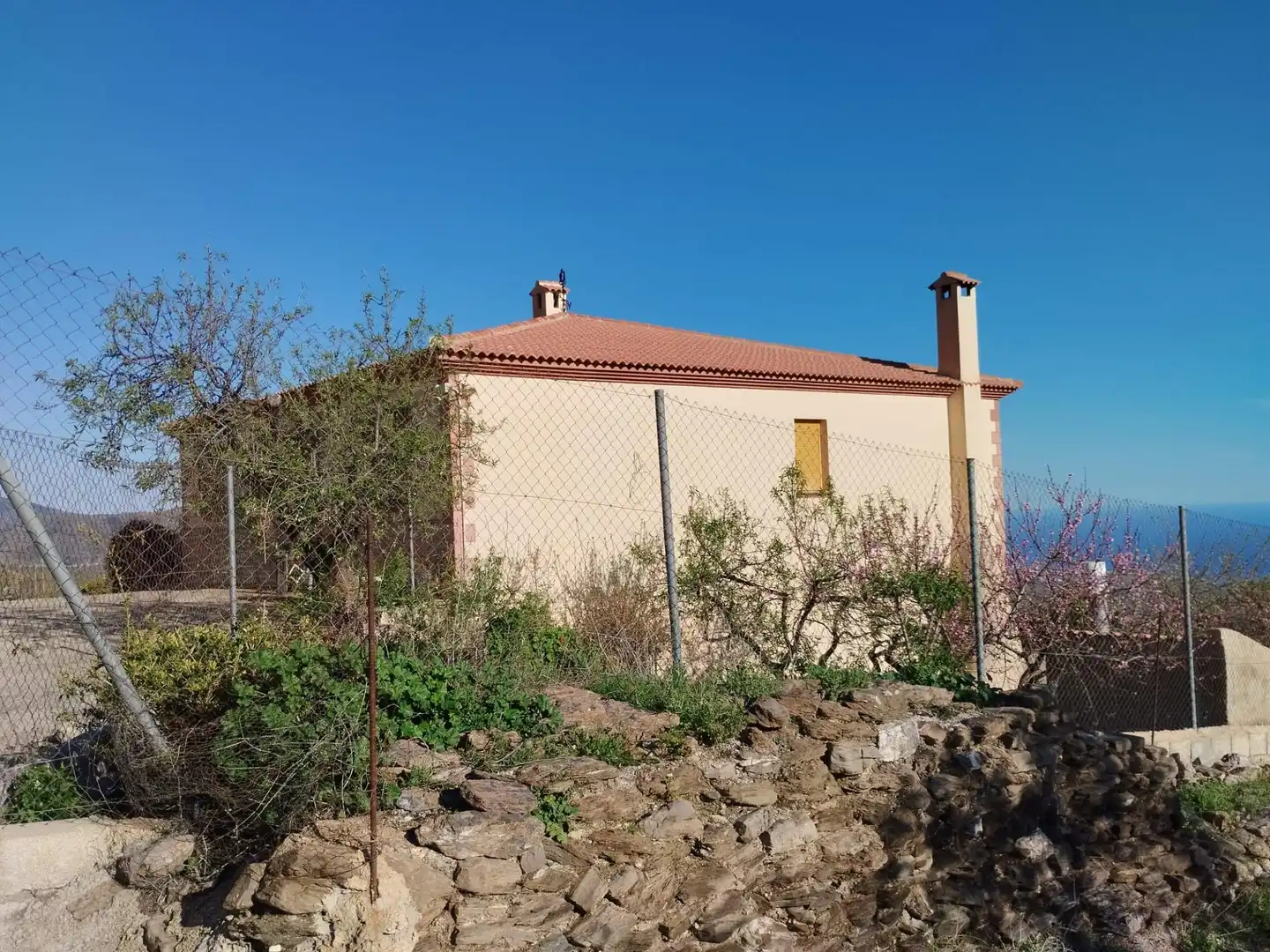 Casa rústica amb terrassa en venda a Camino Polígono 19 Parcela 224 ERMITA. ALBONDON (GRANADA, imagen 12