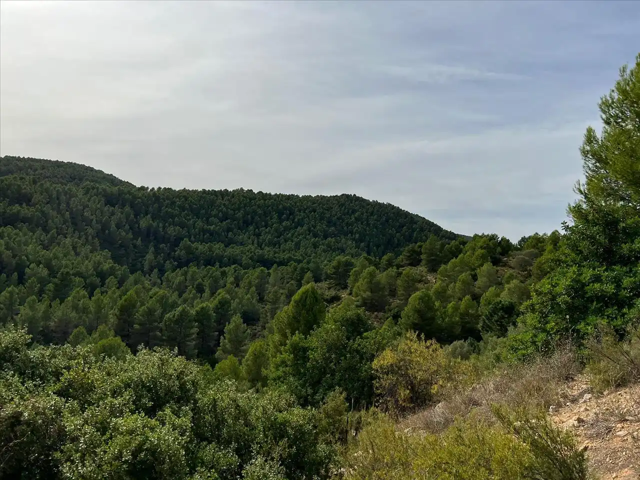 Residencial en venda a Portillo, Buñol
