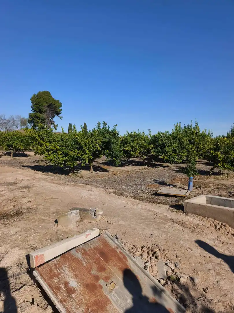 Country homes for sale in Librilla