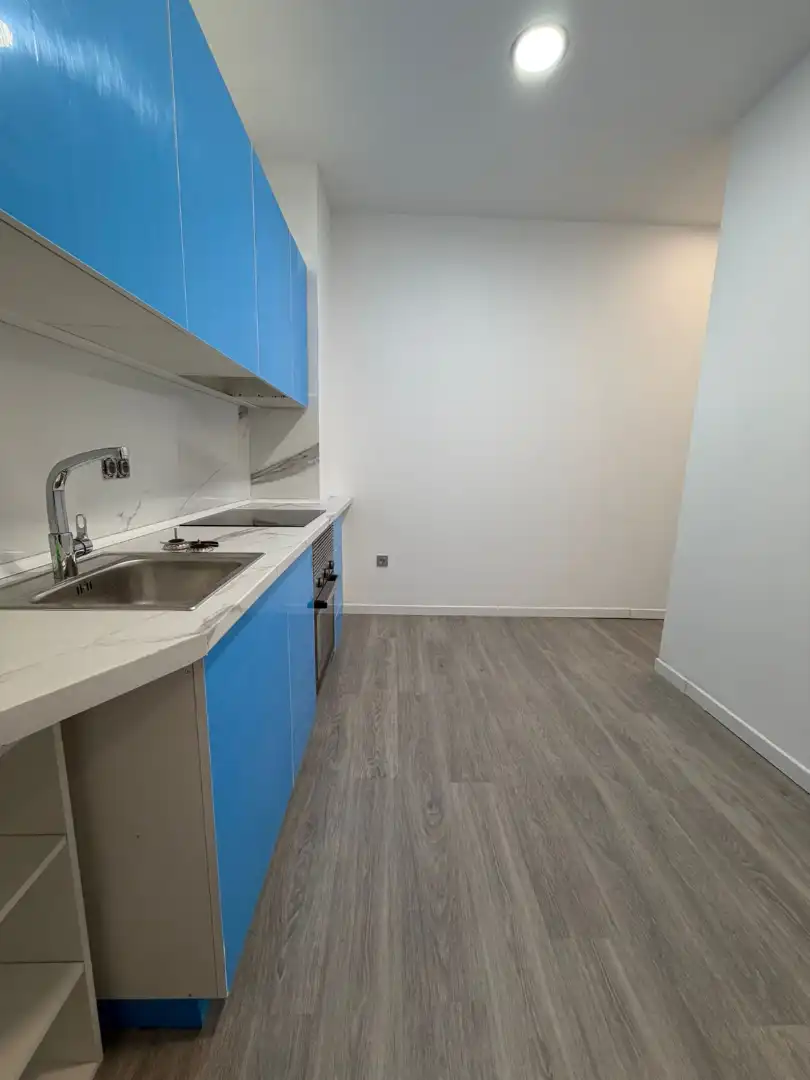 Cuina de Local en venda en L'Hospitalet de Llobregat amb Parquet