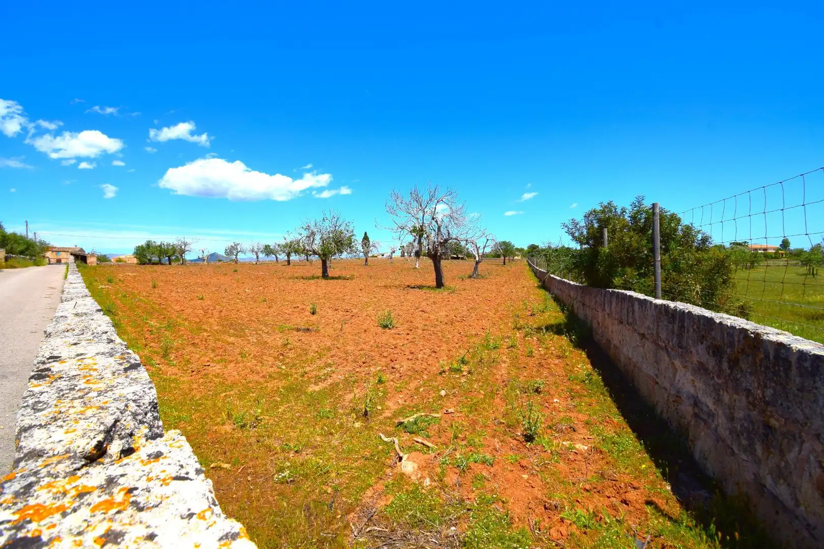 Residential land for sale in Santa Margalida Poble, imagen 4