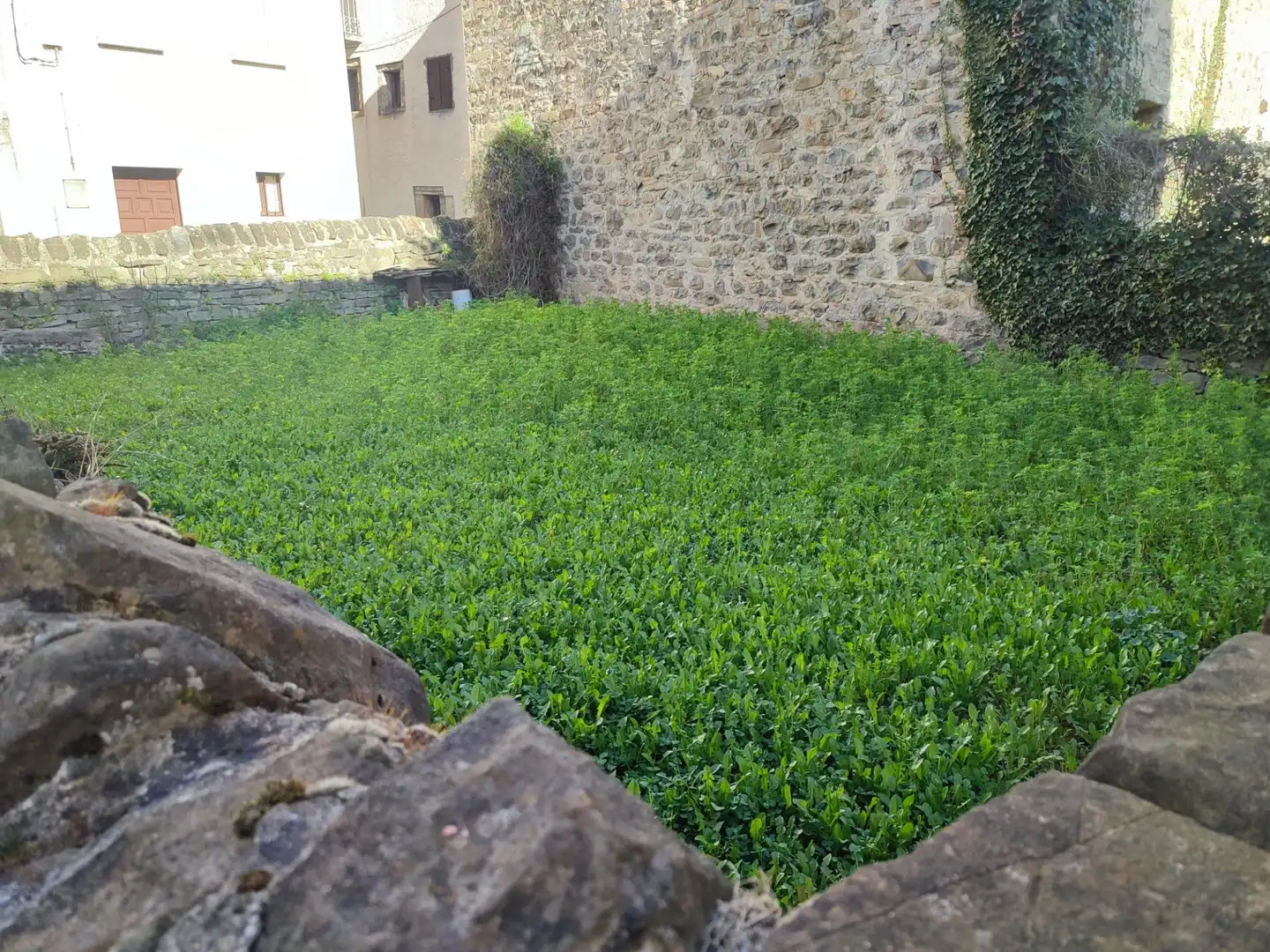 Jardí de Residencial en venda en Biescas