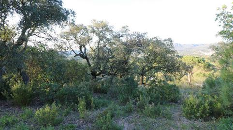 Foto 2 de Terreny industrial en venda a Pirineus, Golf Costa Brava, Girona