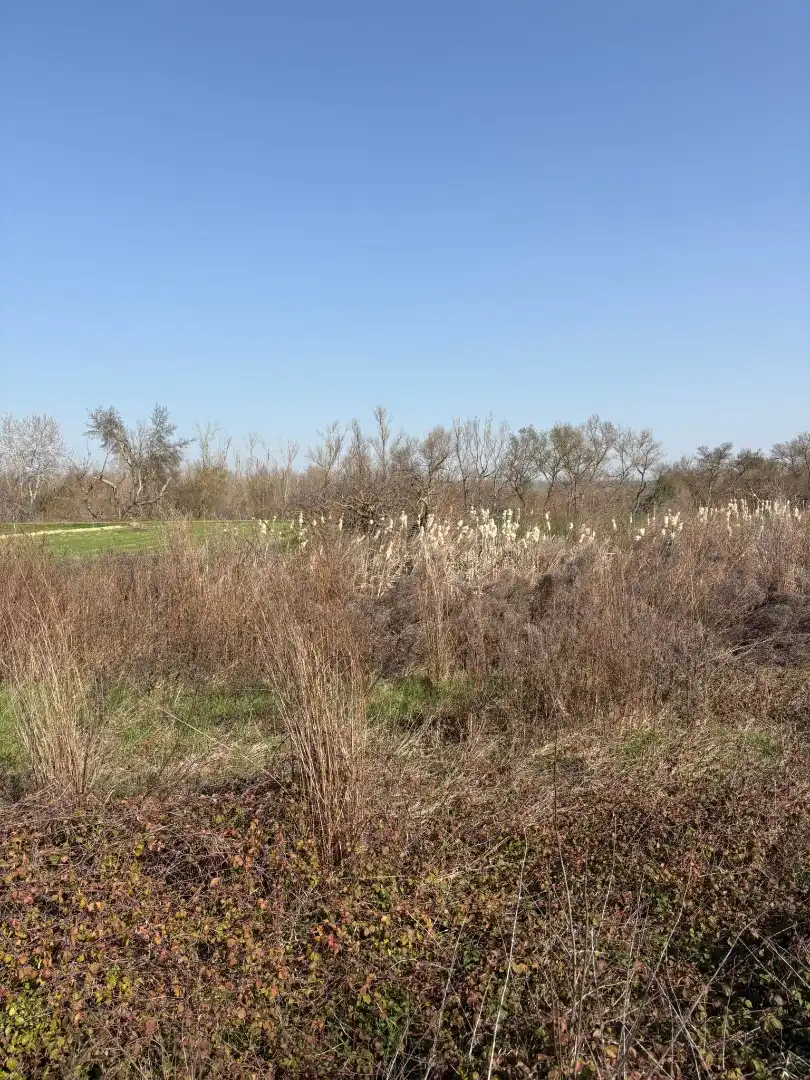 Rural land for sale in Agoncillo, imagen 5