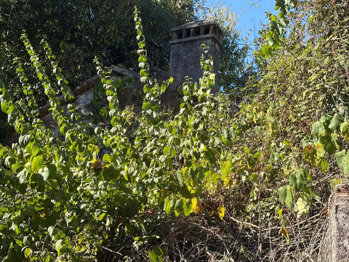 Casa rústica con jardín en venta en PO-254, imagen 37