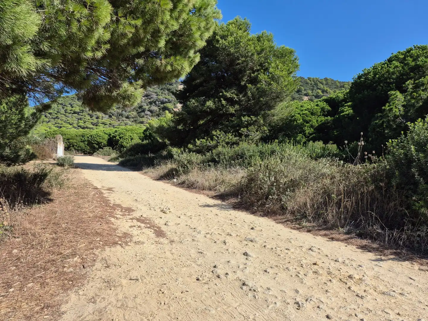 Terreno rustico in vendita a Los Caños de Meca, imagen 10