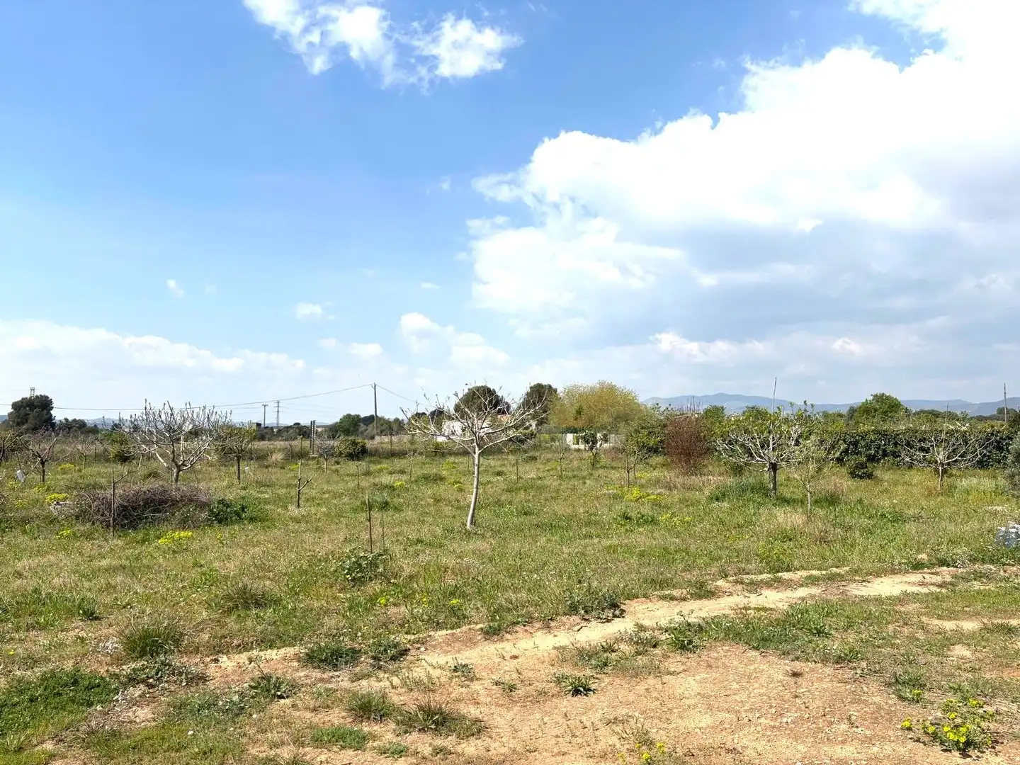 Rural land for sale in Santa Oliva, imagen 13