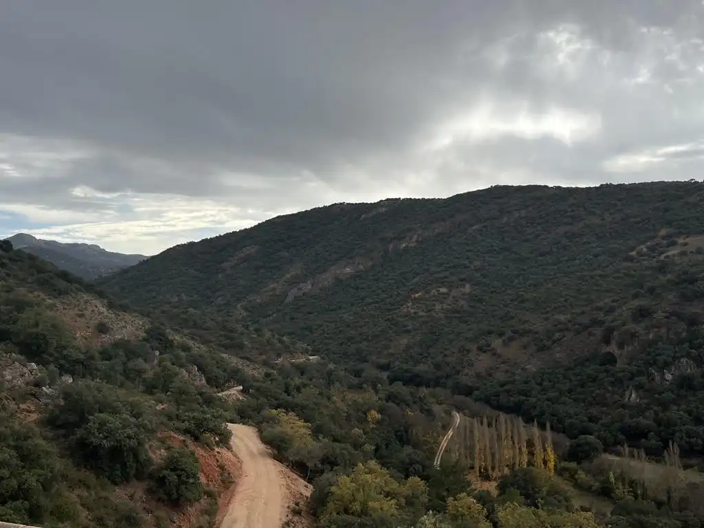 Vista exterior de Terreno en venta en Vianos