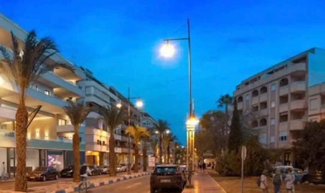 Vista exterior de Pis en venda en Torrevieja amb Aire condicionat, Terrassa i Moblat