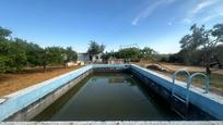 Piscina de Casa o xalet en venda en Utrera