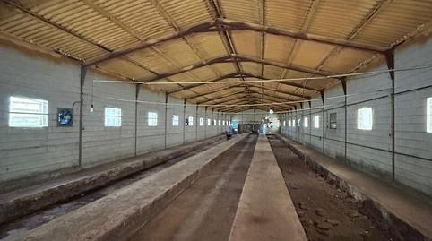 Photo 2 of Industrial buildings for rent in Escalona del Prado, Segovia