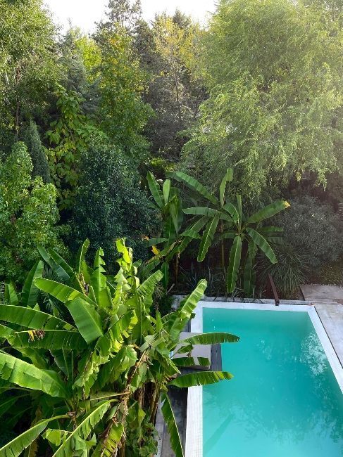 Jardí de Casa o xalet de lloguer en  Madrid Capital amb Aire condicionat, Jardí privat i Terrassa