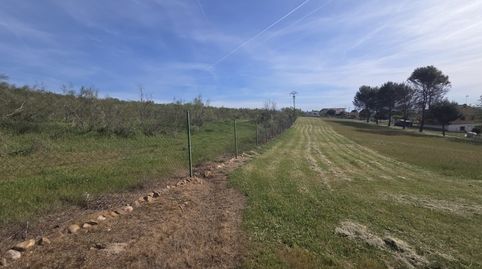 Foto 4 de Residencial en venta en Calle Hurones, Serracines, Madrid