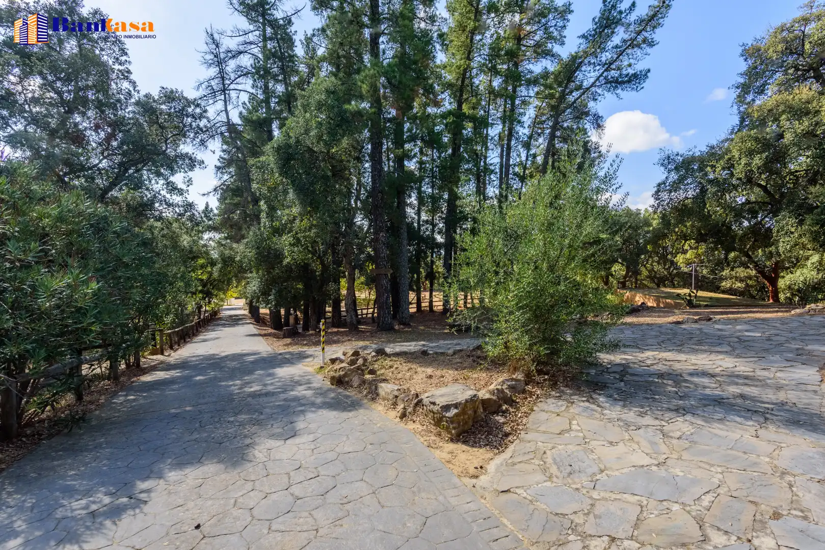 Vista exterior de Casa o xalet en venda en Cortes de la Frontera amb Calefacció, Jardí privat i Moblat