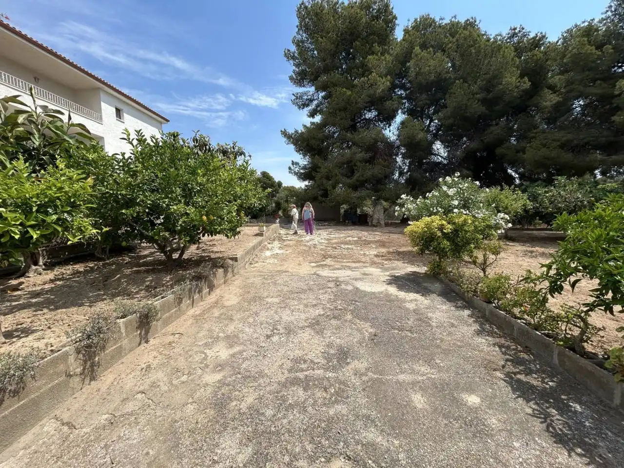 Rural land for sale in Calle Via lctea 34, imagen 6