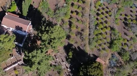 Foto 2 de Finca rústica en venda a Valsequillo de Gran Canaria, Las Palmas