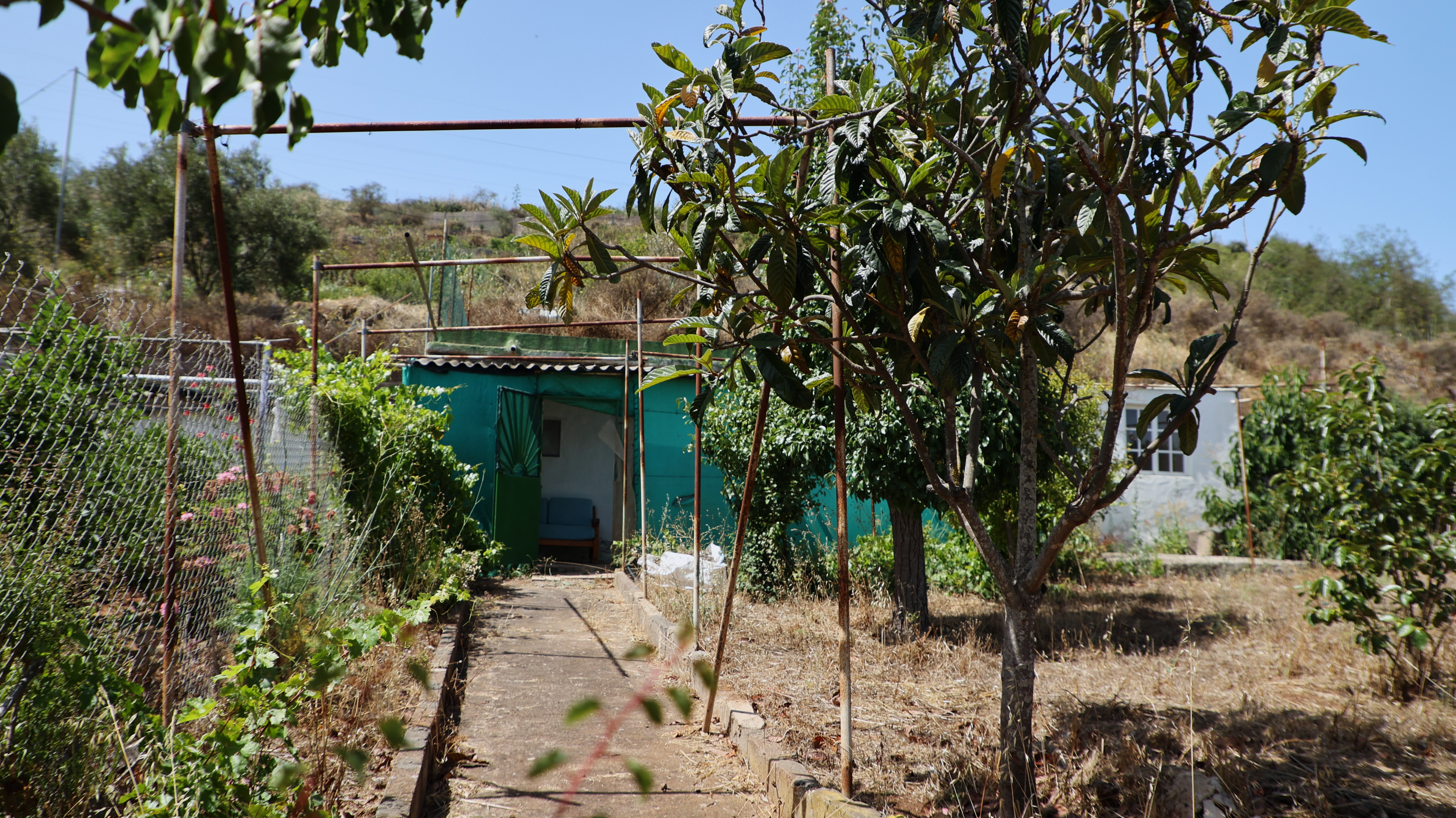 Garden of House or chalet for sale in Vega de San Mateo  with Terrace and Storage room
