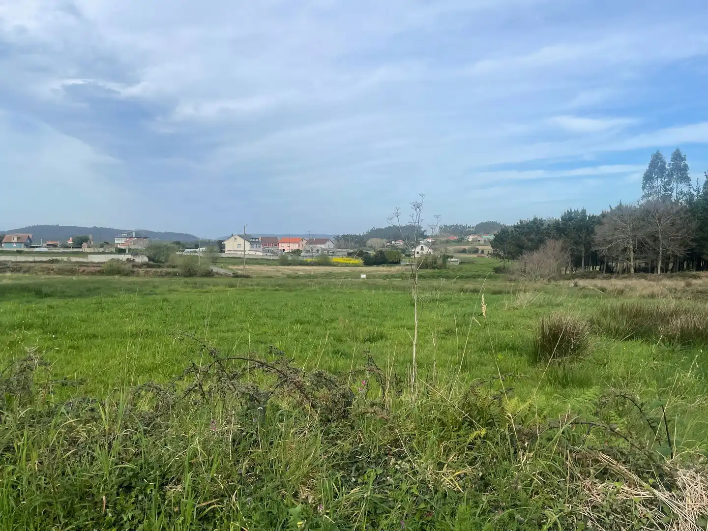 Terrenos y solares en venta en A Pedrosa, imagen 7