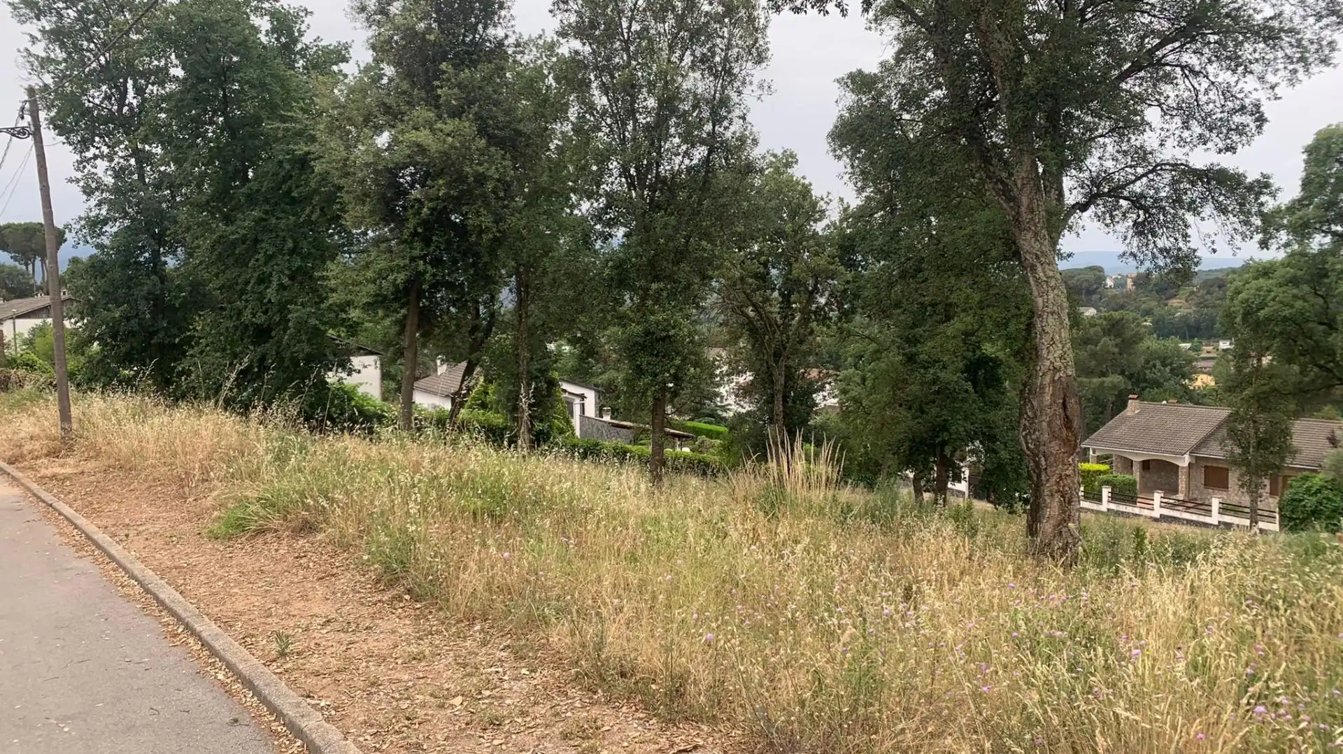 Terreny residencial en venda a Riells i Viabrea, imagen 4