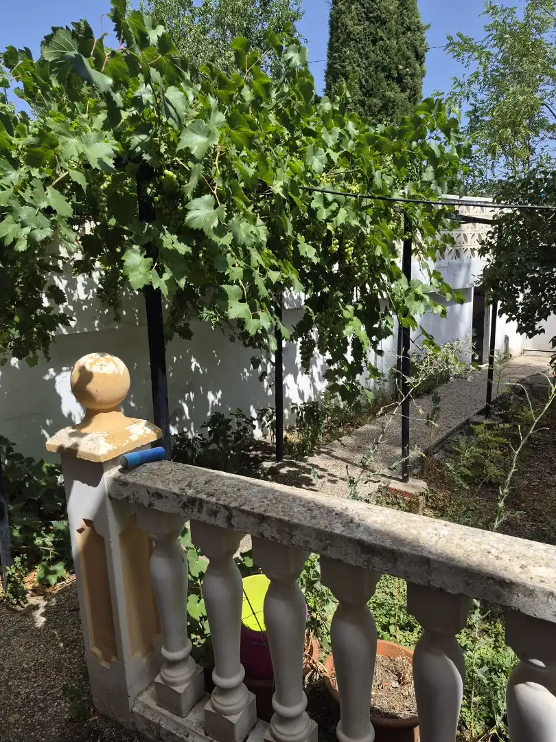 Terraza de Casa o chalet en venta en Albares con Calefacción, Jardín privado y Piscina