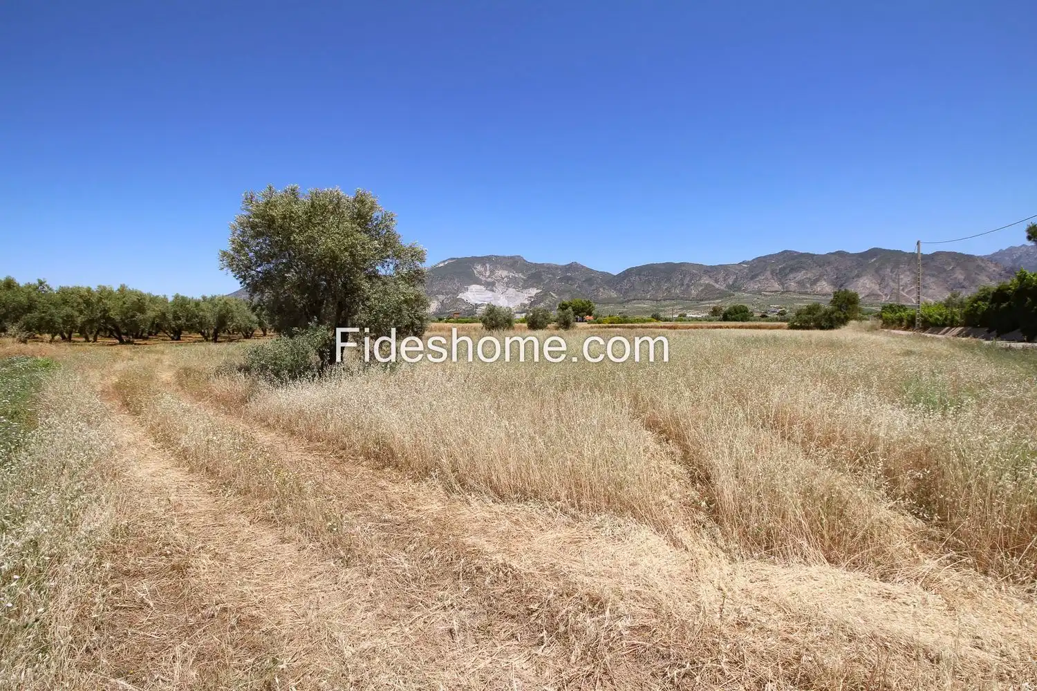 Rural land for sale in XCV6+H86 Cozvijar 0, imagen 4
