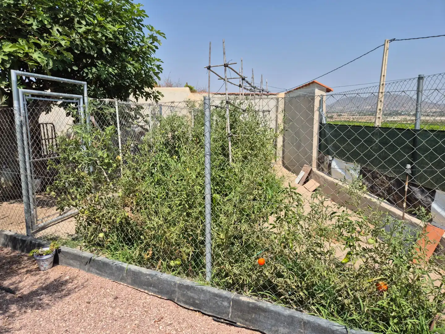 Casa o chalet en venta en Aspe con Aire acondicionado, Calefacción y Jardín privado