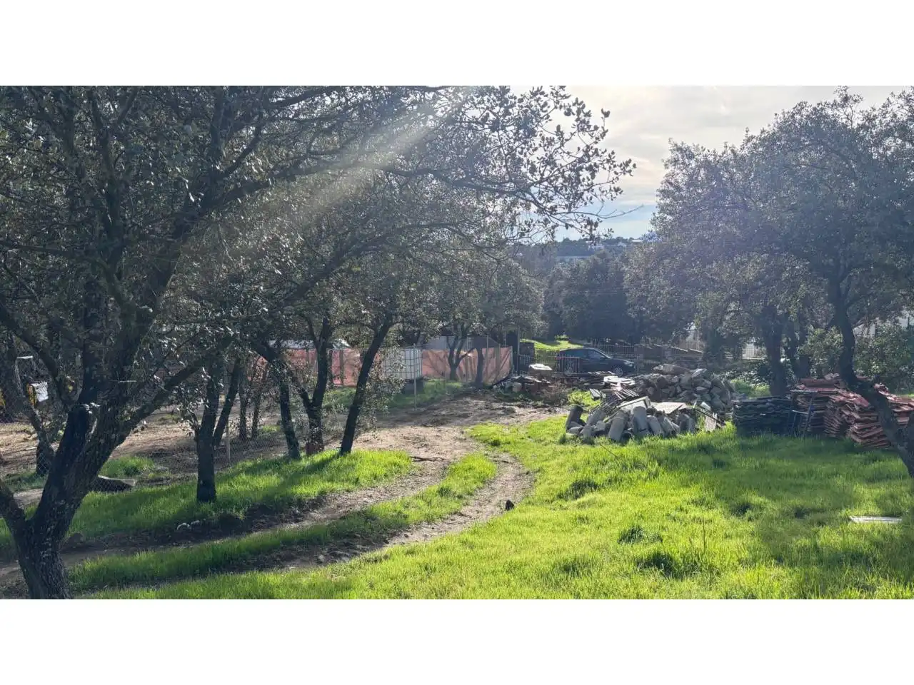Rural land for sale in Alpedrete, imagen 5