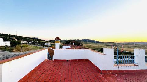 Foto 2 de Finca rústica en venda a Facinas, Cádiz