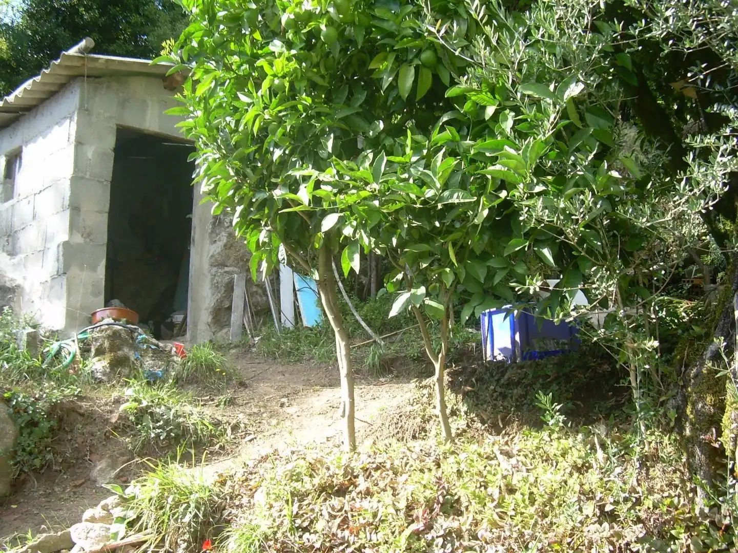 Haus zum Verkauf in Arbo, imagen 29