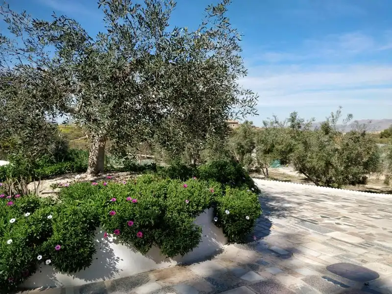 Garten von Haus oder Chalet zum Verkauf in Murcia mit Klimaanlage, Heizung und Privatgarten