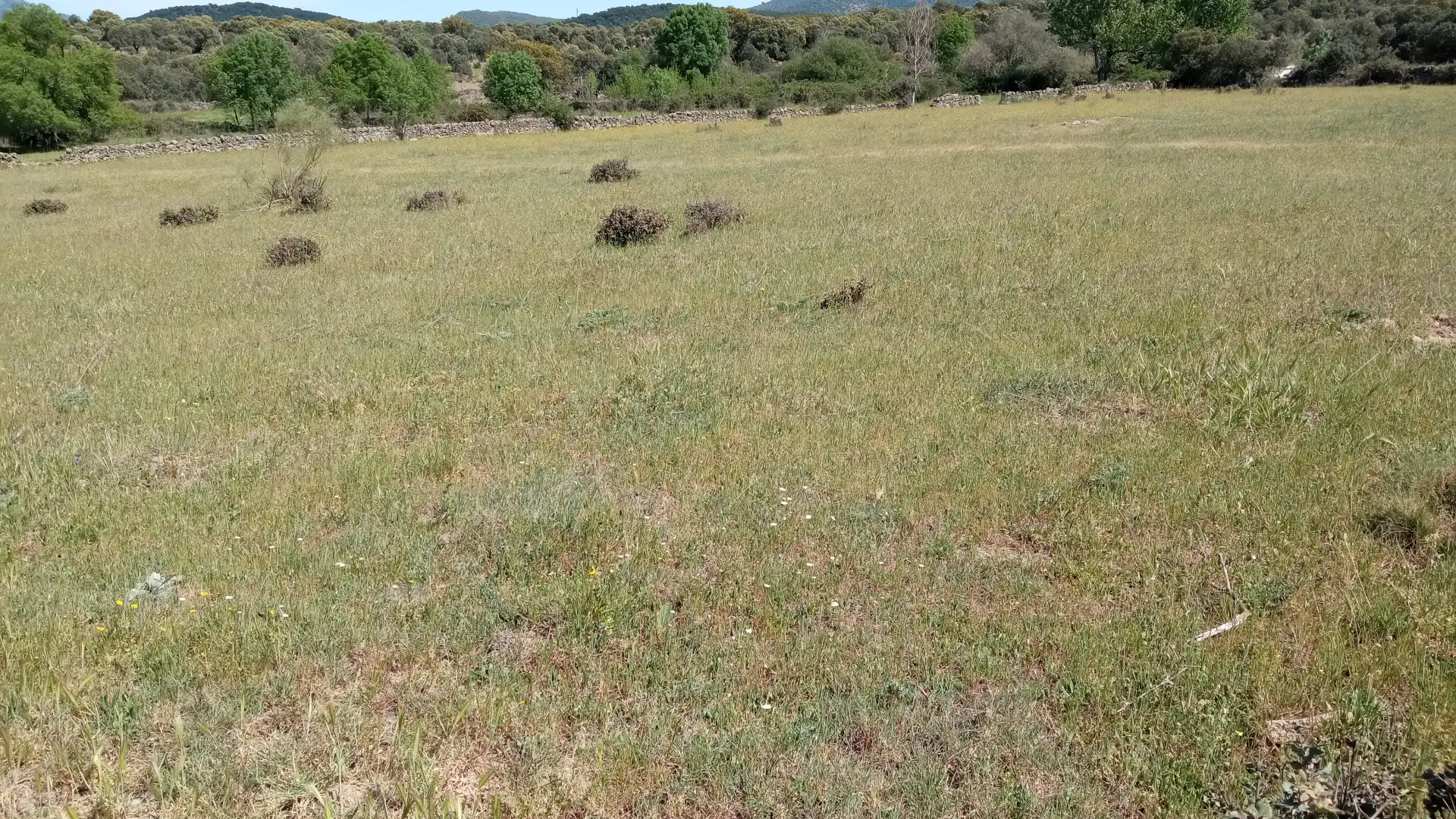 Terreni e lotti in vendita a Fresnedilla, imagen 2