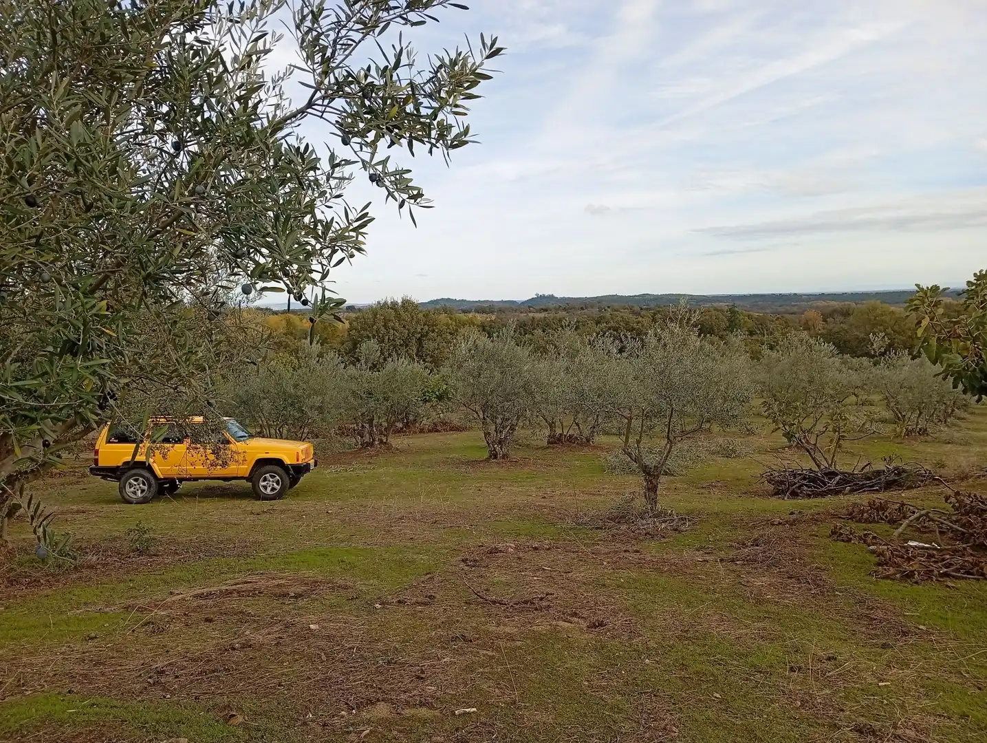 Terreni e lotti in vendita a Villanueva de la Vera, imagen 51