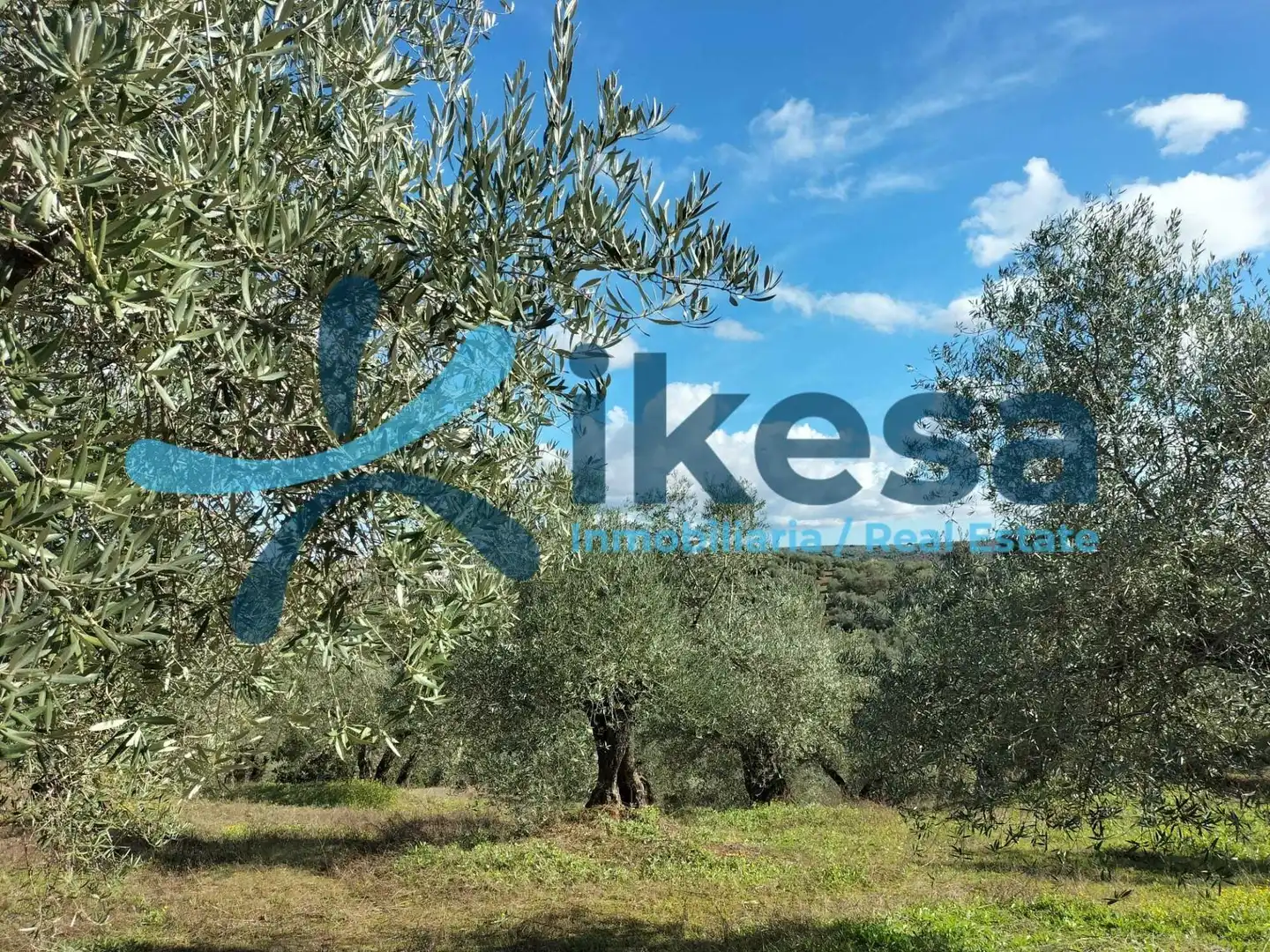 Rustikales Grundstück zum Verkauf in Montoro, imagen 12