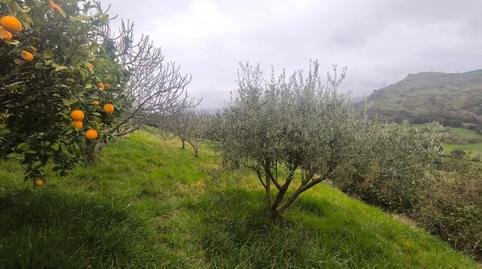 Foto 2 de Terreno en venta en Lekua Cuesta - Aldapa, Zierbena, Bizkaia