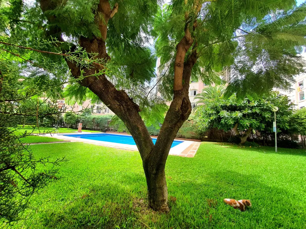 Apartament amb piscina en venda a Centro