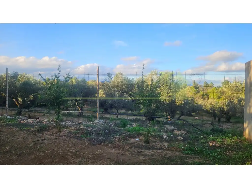 Finca rústica en venta en Canet lo Roig con Jardín privado