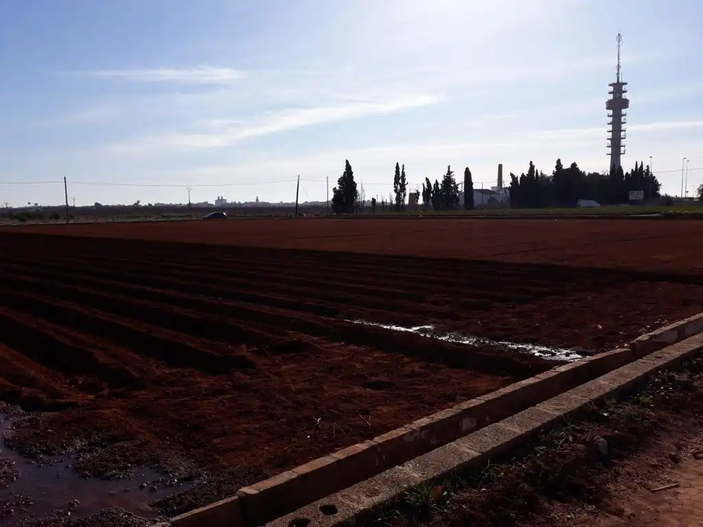 Land for sale in Catarroja