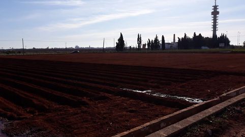 VENTA CAMPO REGADIO CATARROJA.MC34, imagen 5