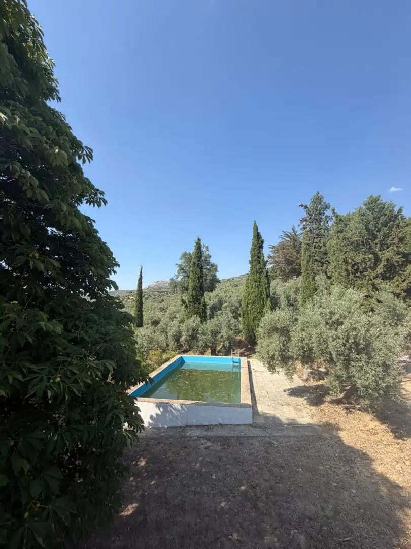 Piscina de Finca rústica en venta en Los Villares con Terraza, Trastero y Piscina