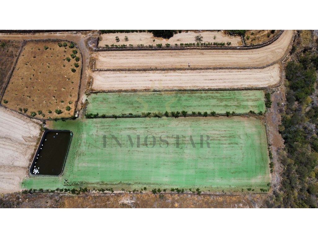Land for sale in Vilaflor de Chasna