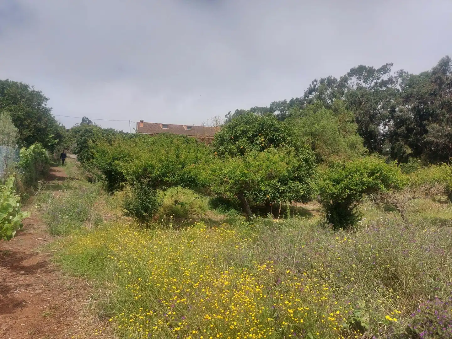 Finca rústica en venta en El Rosario con Jardín privado, Terraza y Alarma